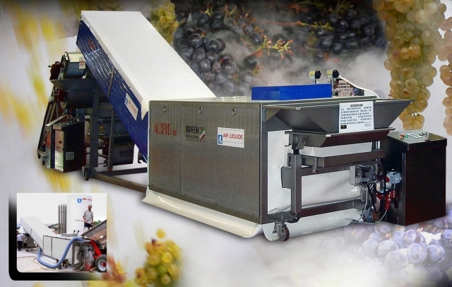 Tunnel di raffreddamento rapido uve intere siprem